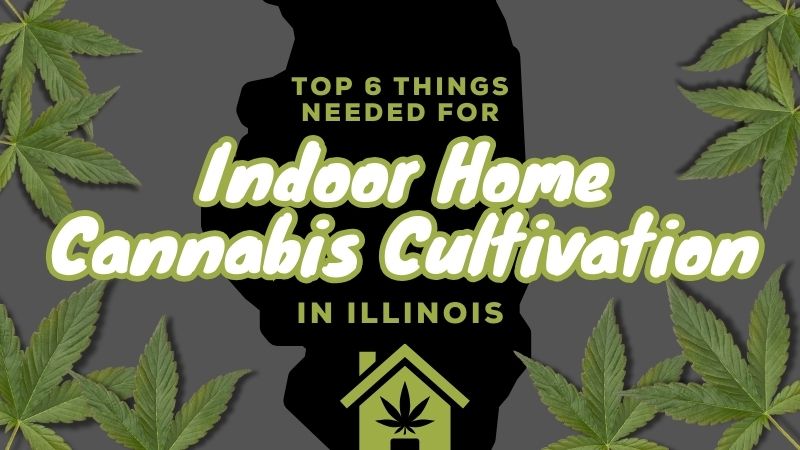 Top 6 Things Needed for Indoor Home Cannabis Cultivation in Illinois