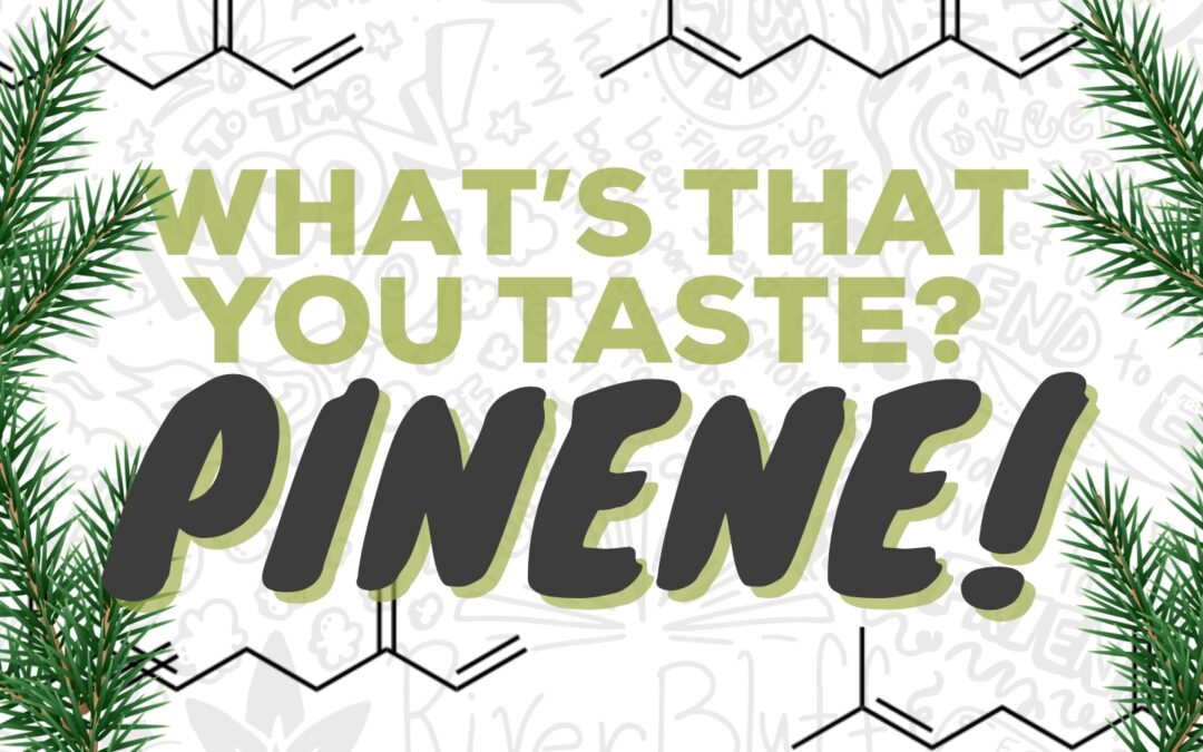 What’s That You Taste? Pinene