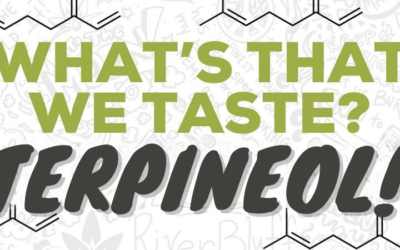 What’s That We Taste? Terpineol!