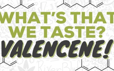 What’s That We Taste? Valencene!