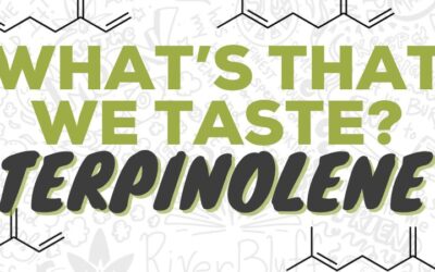 What’s That We Taste Terpinolene?