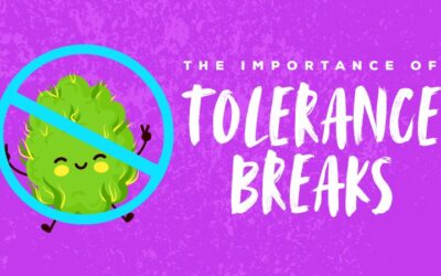 The Importance of Tolerance Breaks
