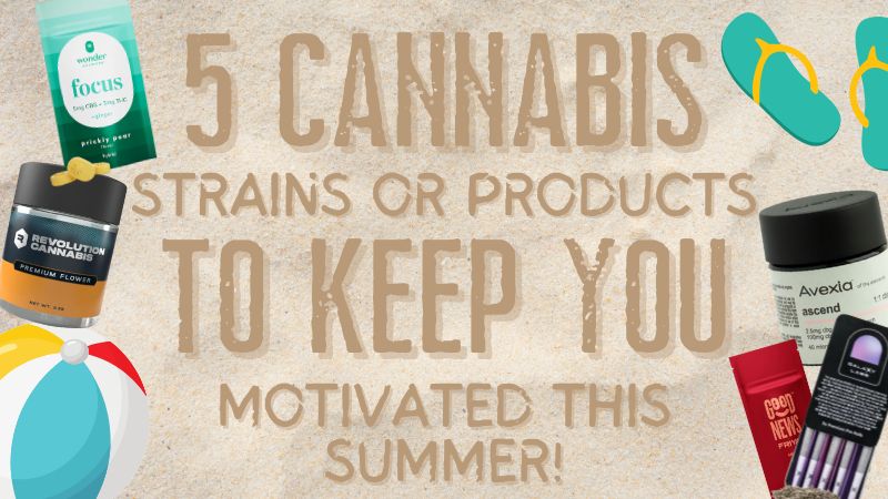 5 Cannabis Strains or Products to Keep You Motivated This Summer!